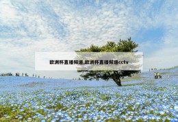 欧洲杯直播频道,欧洲杯直播频道cctv