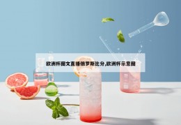 欧洲杯图文直播俄罗斯比分,欧洲杯示意图