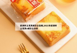 欧洲杯土耳其威尔士在哪,2021年欧洲杯土耳其v威尔士分析