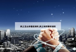 网上怎么样看欧洲杯,网上如何看欧洲杯