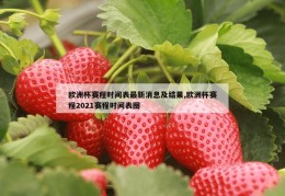 欧洲杯赛程时间表最新消息及结果,欧洲杯赛程2021赛程时间表图