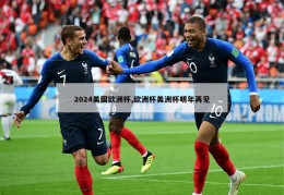 2024美国欧洲杯,欧洲杯美洲杯明年再见