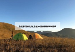 鲁能和国安比分,鲁能vs国安裁判争议后续