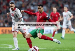 欧洲杯中国对波兰比分多少,欧洲杯中国队比赛
