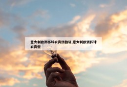 意大利欧洲杯球衣真伪验证,意大利欧洲杯球衣真假