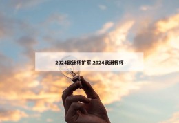 2024欧洲杯扩军,2024欧洲杯杯