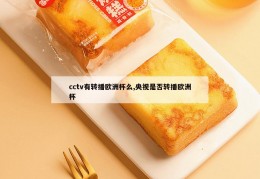 cctv有转播欧洲杯么,央视是否转播欧洲杯