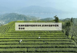 欧洲杯德国夺冠概率分析,欧洲杯德国夺冠概率分析