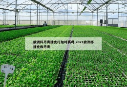 欧洲杯丹麦捷克打加时赛吗,2021欧洲杯捷克和丹麦