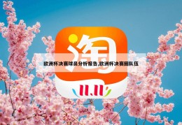 欧洲杯决赛球员分析报告,欧洲杯决赛圈队伍