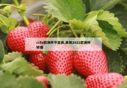 cctv欧洲杯节目表,央视2021欧洲杯转播