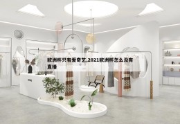 欧洲杯只有爱奇艺,2021欧洲杯怎么没有直播