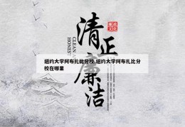 纽约大学阿布扎比分校,纽约大学阿布扎比分校在哪里