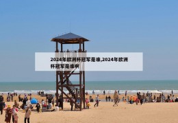 2024年欧洲杯冠军是谁,2024年欧洲杯冠军是谁啊