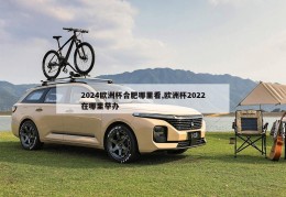 2024欧洲杯合肥哪里看,欧洲杯2022在哪里举办