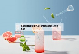 年欧洲杯决赛举办地,欧洲杯决赛2021举办地